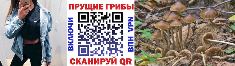МЕГА зеркало  купить наркотики сайты  Белгород  Галлюциногенные грибы ЛСД 