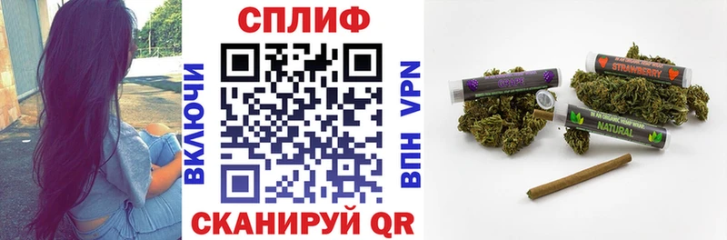Конопля сатива  блэк спрут зеркало  Белгород 